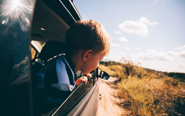 A Proven Remedy for Restless Kids on a Road Trip