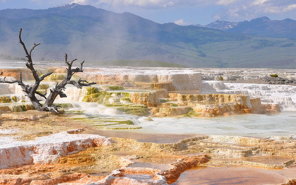Yellowstone National Park