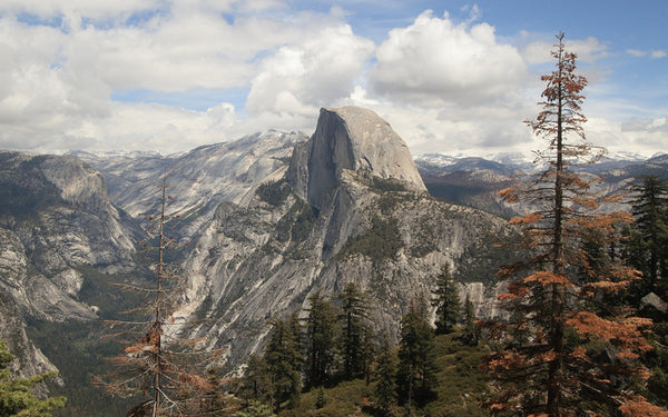 Yosemite National Park – Evidence for a Recent Ice Age