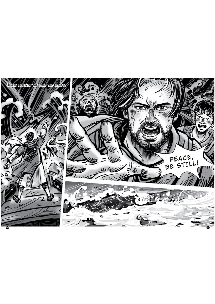 Jesus Rebukes the Storm