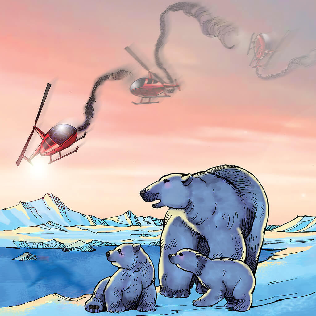 The Arctic Adventure