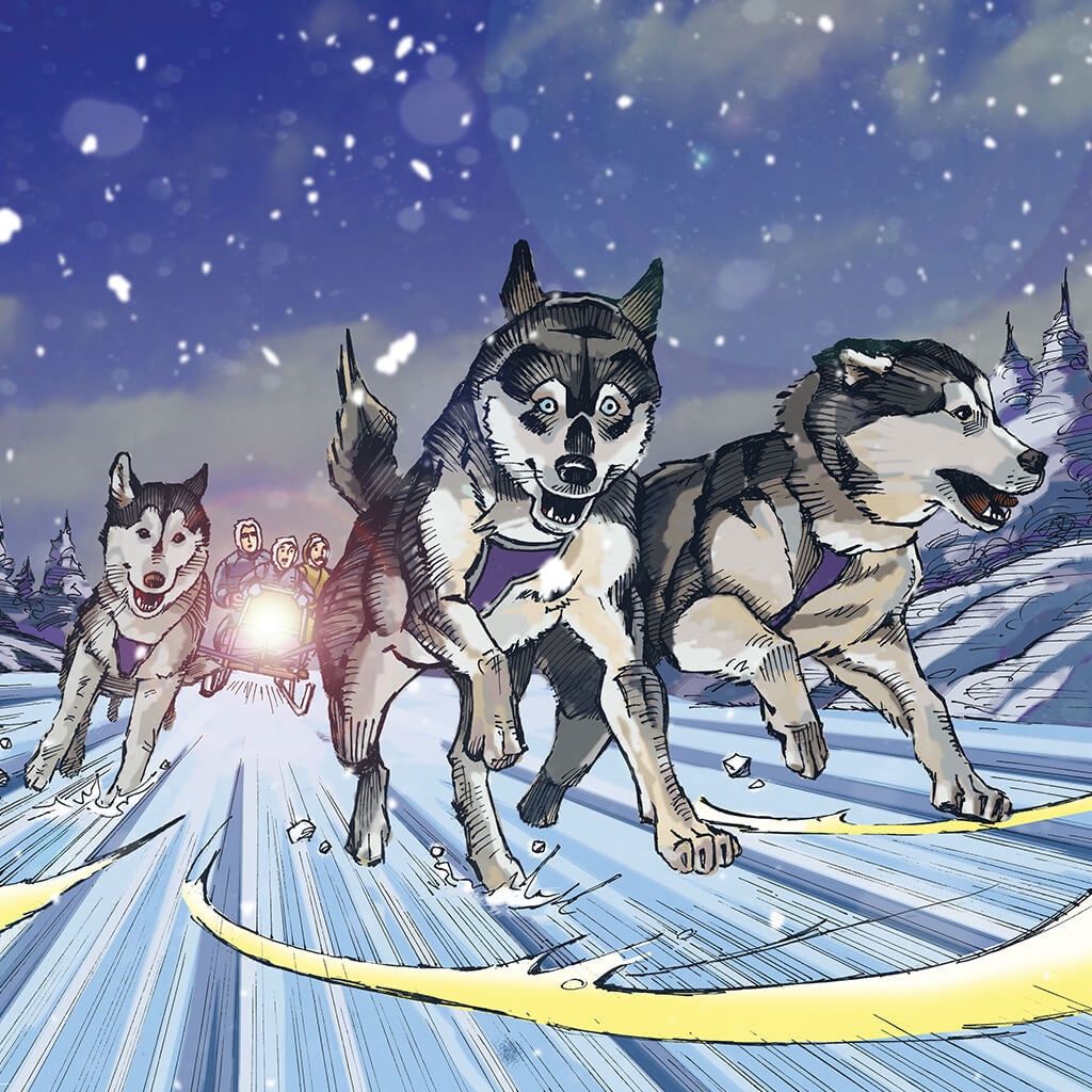 The Wilderness Express